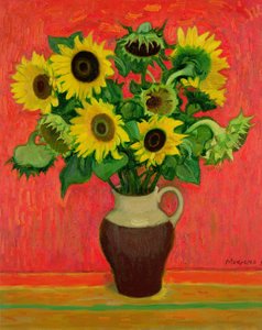 Girasoli su sfondo rosso