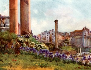 Un angolo del Foro dalla base del Tempio di Saturno da Alberto Pisa