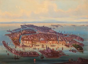 Veduta aerea di Venezia, 1867 da Alberto Rieger
