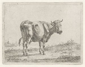 Mucca in piedi da Albertus Verhoesen