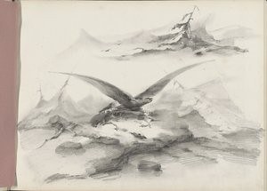 Aquila che vola sopra una costa con montagne