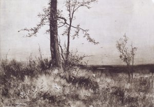 Paesaggio da Albion Harris Bicknell