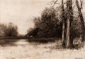 Stagno del Mulino da Albion Harris Bicknell