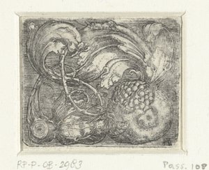Melograno e tralci di foglie da Albrecht Altdorfer