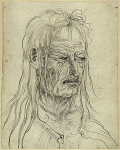  da Albrecht Altdorfer