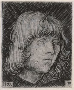Testa di un giovane uomo da Albrecht Altdorfer