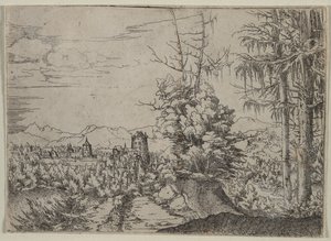 Paesaggio con Due Pini da Albrecht Altdorfer