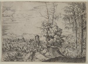 Paesaggio con due pini da Albrecht Altdorfer
