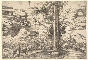Paesaggio con un doppio abete, ca. 1521-22