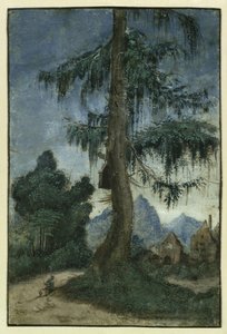 Paesaggio con un abete, ca 1522