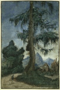  da Albrecht Altdorfer