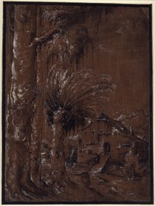 Paesaggio con mulino ad acqua da Albrecht Altdorfer