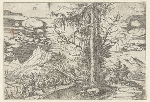 Paesaggio con doppio abete