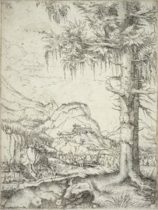 Il grande abete, c.1520 da Albrecht Altdorfer