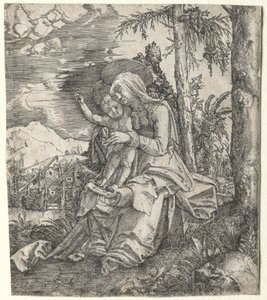 La Vergine in un paesaggio, c. 1515 da Albrecht Altdorfer