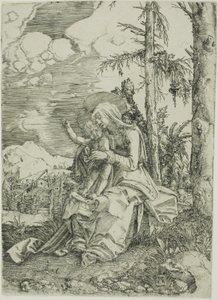 La Vergine con il Bambino benedicente in un paesaggio da Albrecht Altdorfer