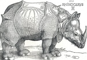 Un rinoceronte da Albrecht Dürer
