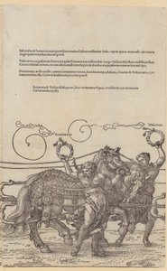  da Albrecht Dürer