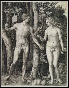  da Albrecht Dürer