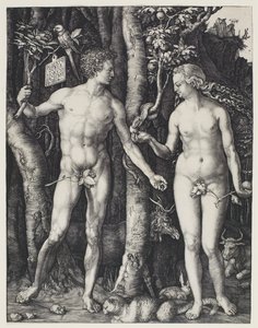 Adamo ed Eva da Albrecht Dürer