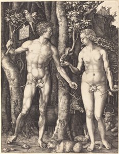 Adamo ed Eva da Albrecht Dürer