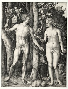 Adamo ed Eva da Albrecht Dürer