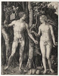 Adamo ed Eva da Albrecht Dürer