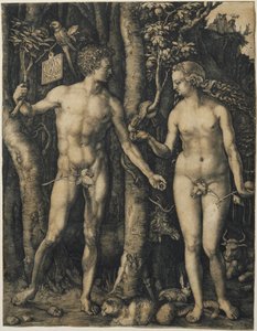 Adamo ed Eva da Albrecht Dürer