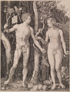  da Albrecht Dürer