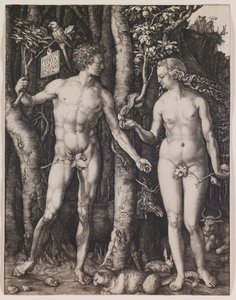 da Albrecht Dürer