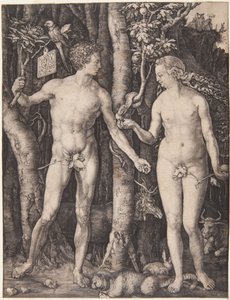  da Albrecht Dürer