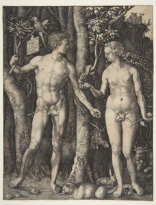  da Albrecht Dürer