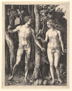 da Albrecht Dürer