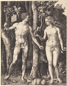  da Albrecht Dürer