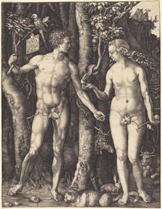  da Albrecht Dürer