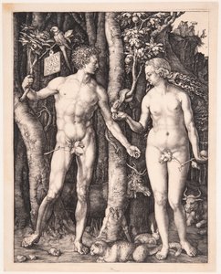  da Albrecht Dürer
