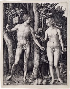  da Albrecht Dürer