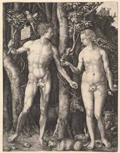  da Albrecht Dürer