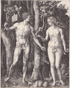  da Albrecht Dürer