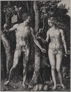  da Albrecht Dürer