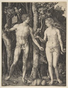  da Albrecht Dürer