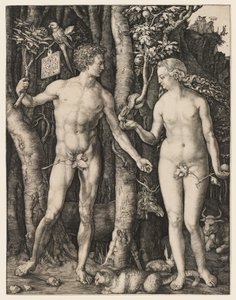 Adamo ed Eva da Albrecht Dürer