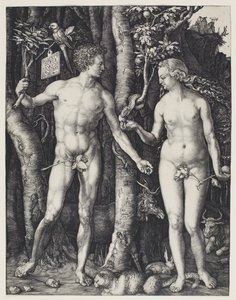 Adamo ed Eva da Albrecht Dürer