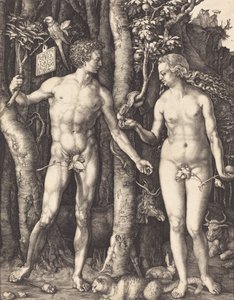 Adamo ed Eva da Albrecht Dürer