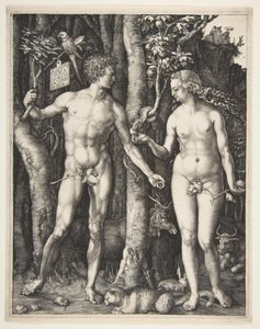 Adamo ed Eva da Albrecht Dürer