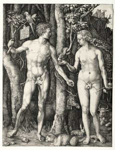 Adamo ed Eva, 1504 da Albrecht Dürer