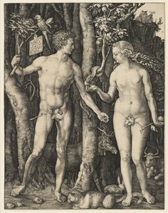 Adamo ed Eva, 1504 da Albrecht Dürer