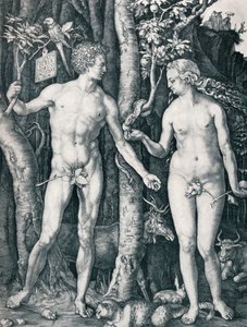 Adamo ed Eva, 1504 1906