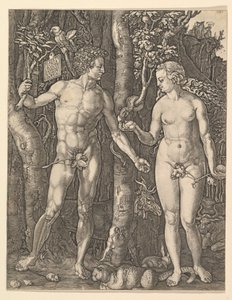 Adamo ed Eva, 1566 da Albrecht Dürer