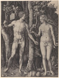  da Albrecht Dürer